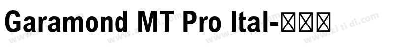 Garamond MT Pro Ital字体转换